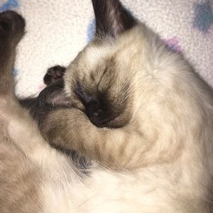 Meet your Posher, Kenny